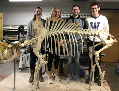 Picture of students posing with a dinosaur skeleton prototype